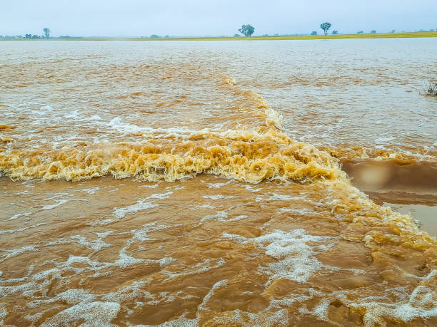 istock Lake Cargelligo, NSW, Australia 1312193609
