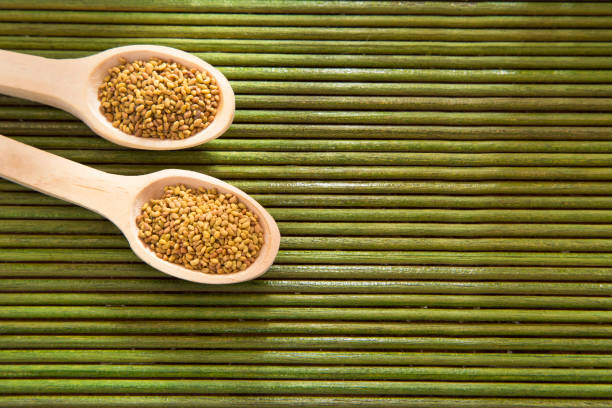 istock Organic Alfalfa Seeds - Medicago sativa 1312199143