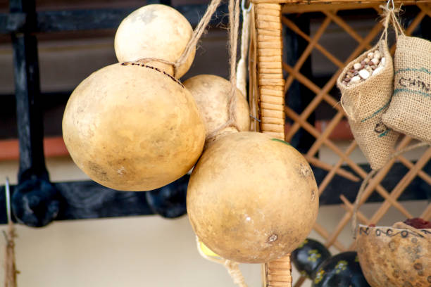 dried pumpkins hung for sale