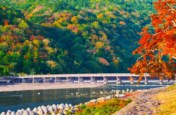 outono deixa temporada kyoto arashiyama - togetsu kyo bridge - fotografias e filmes do acervo