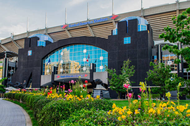 Carolina Panthers 20, Detroit Lions 0: Photos from Bank of America Stadium