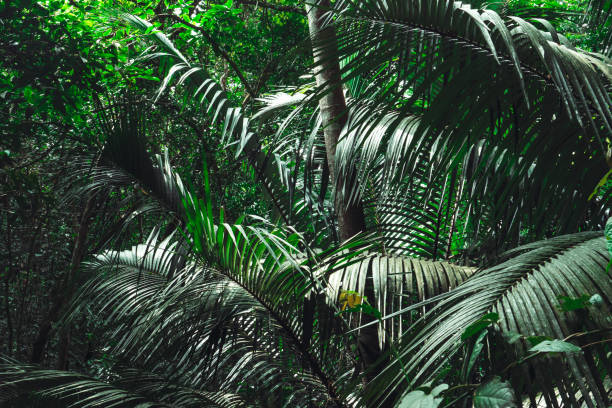 istock Greens, greens, greens 1312213149