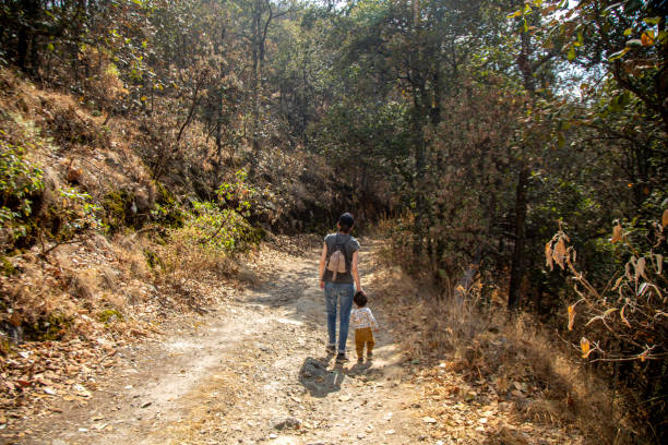 istock Mother and son walking through the woods 1312215720