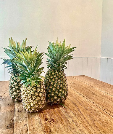 Vertical still life of three 3 whole fresh local summer pineapple fruit with green heads sitting on the wood kitchen counter awaiting eating with white wall and tile wall background