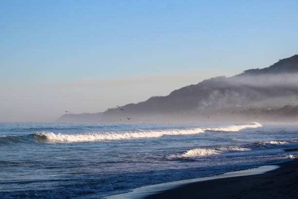 istock Morning beach at Sayulita 1312218513