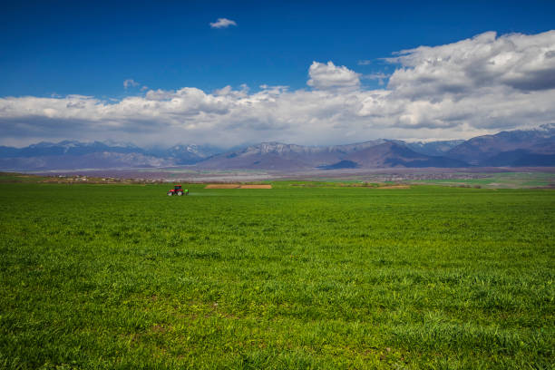 istock Tractor driving across the field and sprinkling it 1312223153