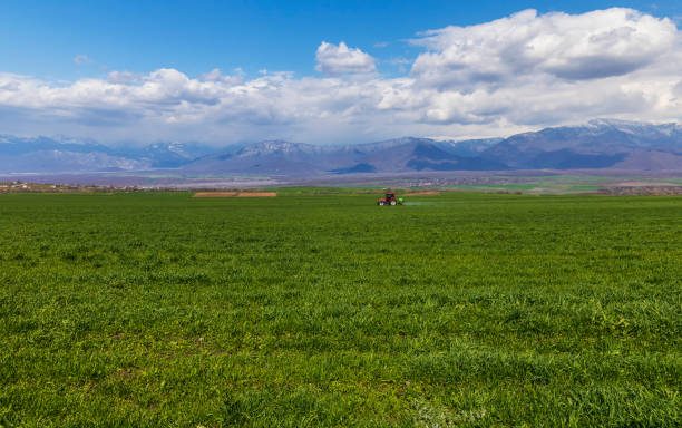istock Tractor driving across the field and sprinkling it 1312223161