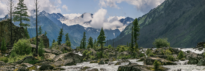 Panoramic view of a wild mountain gorge, a turbulent river flows among the stones
