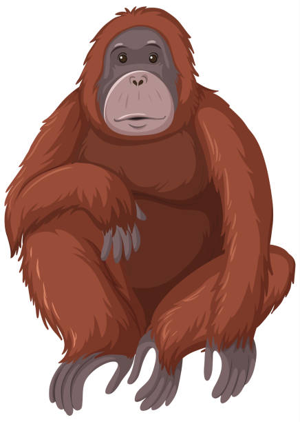 Cute Orangutan Illustrations, Royalty-Free Vector Graphics & Clip Art -  iStock