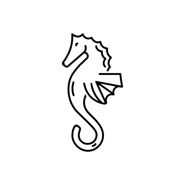 koń morski koń - mammal hippocampus stock illustrations