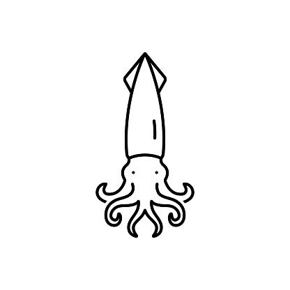 Icon for squid, calamari, calamary, vitriol, scorcher, atlantic, cuttlefish, food, animal, marine