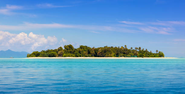 istock Tropical island with coconut palm. Beach fun. 1312226862