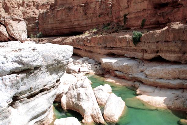 istock Wadi Shab in Oman 1312228736