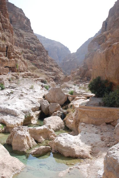 istock Wadi Shab in Oman 1312228777