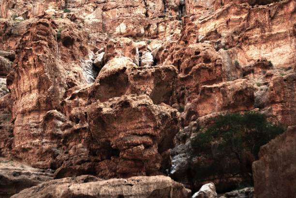 istock Wadi Shab in Oman 1312228816