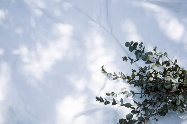 Frame of dried flowers placed on white fabric