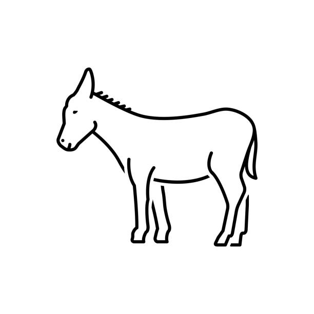 burro osioł - mulish stock illustrations