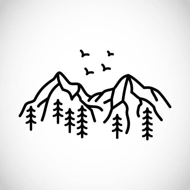 ilustrações de stock, clip art, desenhos animados e ícones de beautiful simplistic mountain line illustration, vector design - ridge mountain wilderness area poland