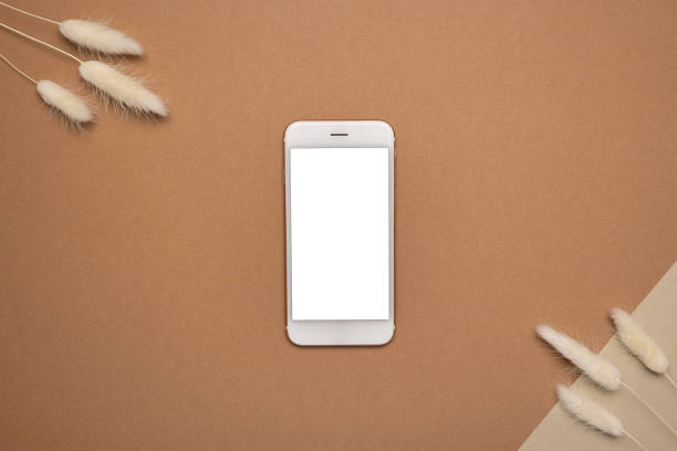 istock Mobile phone with white screen and dry white flower branch on a light brown background. Trend, minimal concept with copyspace 1312230953