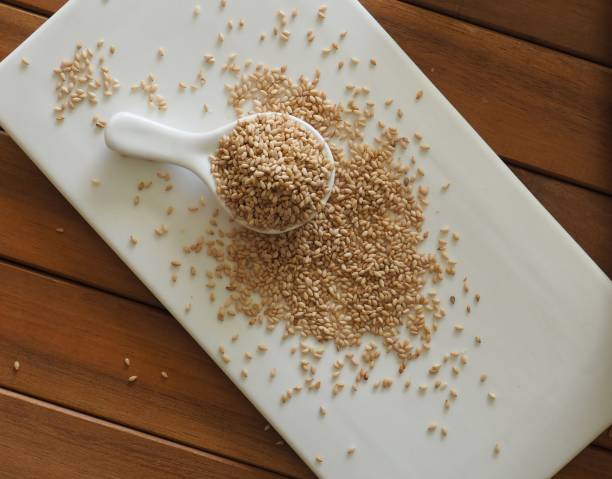 koreanische frische bio-sesamsamen, lebensmittelzutaten - white sesame seed stock-fotos und bilder