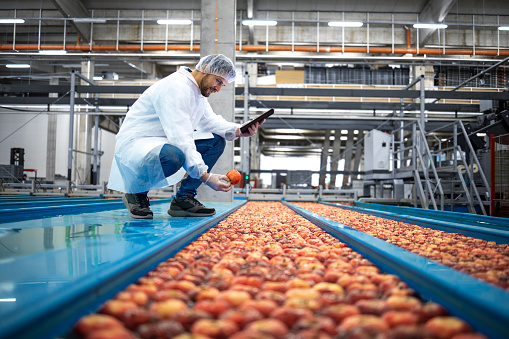 Tecnólogo con tablet computer de pie junto a transportadores de tanques de agua haciendo control de calidad de la producción de fruta de manzana en la planta de procesamiento de alimentos. photo