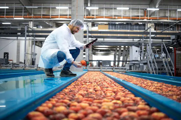 Photo of Technologist with tablet computer standing by water tank conveyers doing quality control of apple fruit production in food processing plant.