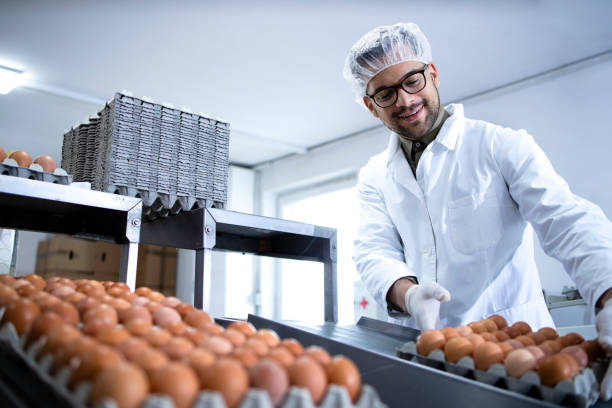 istock Fresh chicken eggs in food processing factory being moved on conveyor belt and worker taking them for packaging. 1312236827