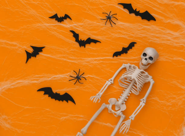 istock Halloween scary background, decoration. Fake skeleton, Spiders with spider web, flying bats on a yellow background. Trick or treat. Flat lay 1312236935