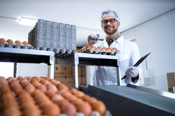 istock Factory worker holding checklist inspecting and checking quality of eggs at food processing plant. 1312236938