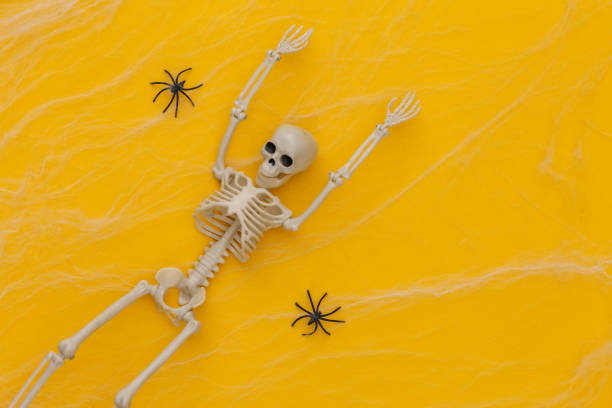 istock Halloween scary background, decoration. Fake skeleton, spiders with spider web on yellow background. Trick or treat. Flat lay 1312236940