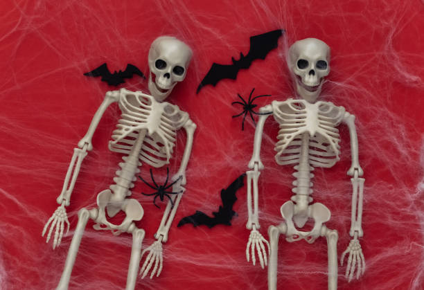 istock Halloween scary background, decoration. Two Fake skeleton, Spiders with spider web, flying bats on red background. Flat lay 1312237024