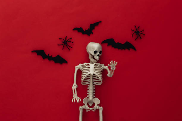 istock Halloween background, decorations and scary concept. Skeleton and spiders, black bats fly over red background 1312237798