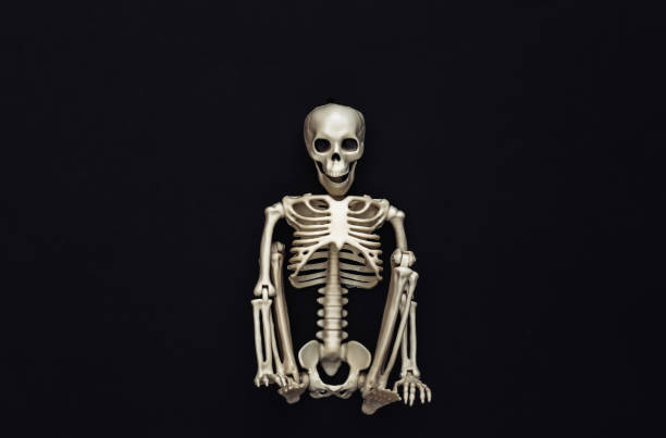istock Skeleton on black background. Halloween decoration, scary theme. Flat lay. Minimalism 1312237979
