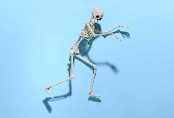 istock The skeleton is sneaking against a bright blue background. Halloween concept 1312238004