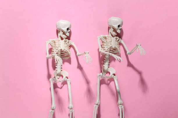 istock Two Skeletons on pink bright background. Halloween decoration, scary theme. Flat lay 1312238044