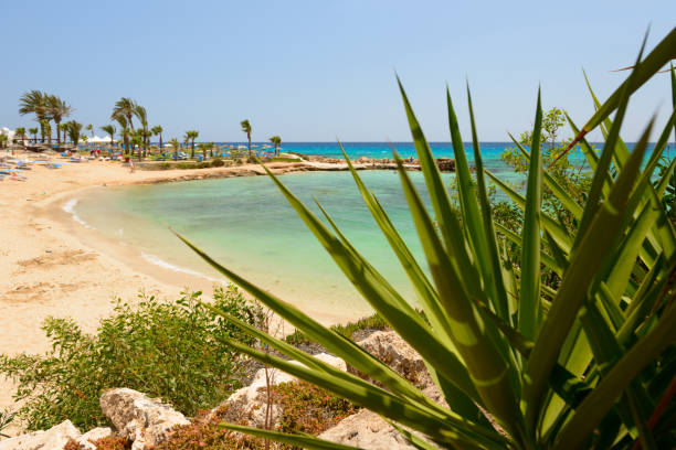 istock Rocky seashore in a Mediterranean resort with turquoise sea 1312238241