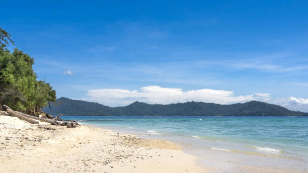 istock Beach on the Manukan Island, state Sabah, Malaysia 1312239013