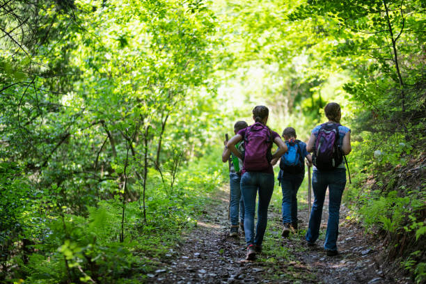 istock Hiking family hiking on the forest path into the spring 1312239365