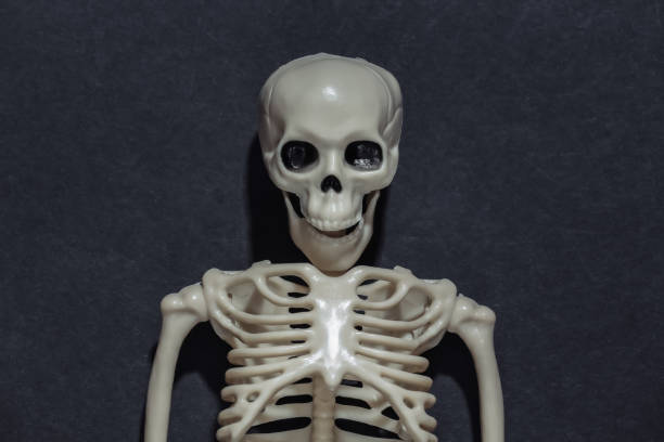 istock Skeleton sculpt on a black dark background. Halloween theme. Top view 1312241720
