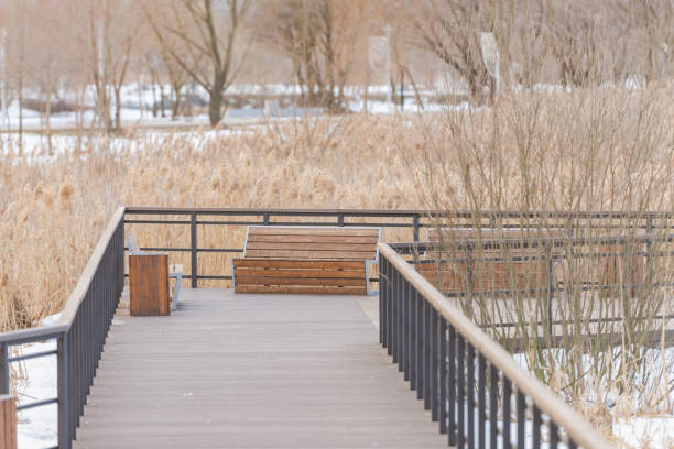 istock Smooth wooden descent to the river 1312241794