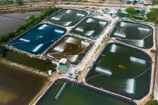 Drone view of shrimp seed lake in Thuy Trieu lagoon, Khanh Hoa province, central Vietnam