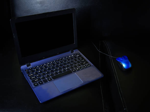 istock the concept of work from home 1312243053