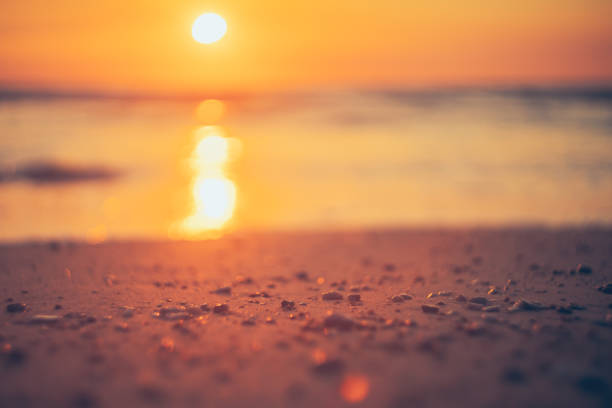 istock Tropical beach with smooth wave and sunset sky abstract background. 1312243837