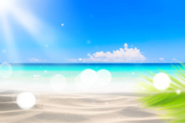 istock Blur beautiful nature green palm leaf on tropical beach with bokeh sun light wave abstract background. 1312243845