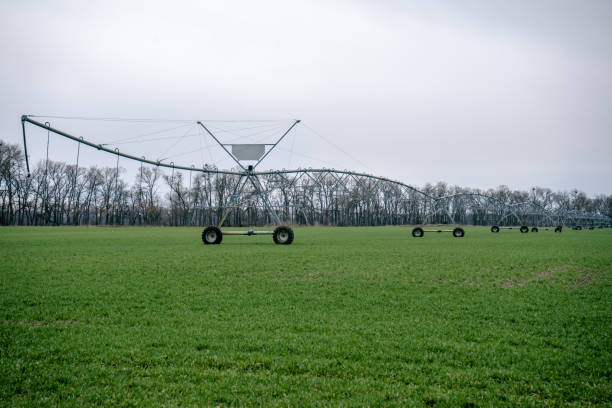 istock Irrigation system in an agricultural field 1312243885