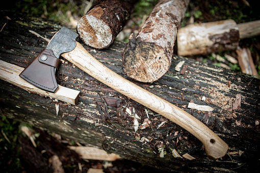 A muted color wood axe on a log with other bits of cut logs around it.