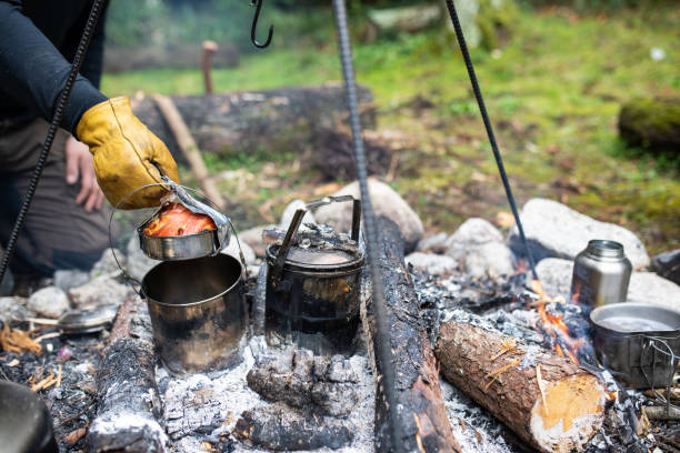 istock Camp fire cooking in a pot over hot coals 1312246065