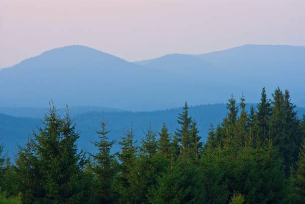 istock early morning in a mountains 1312250236