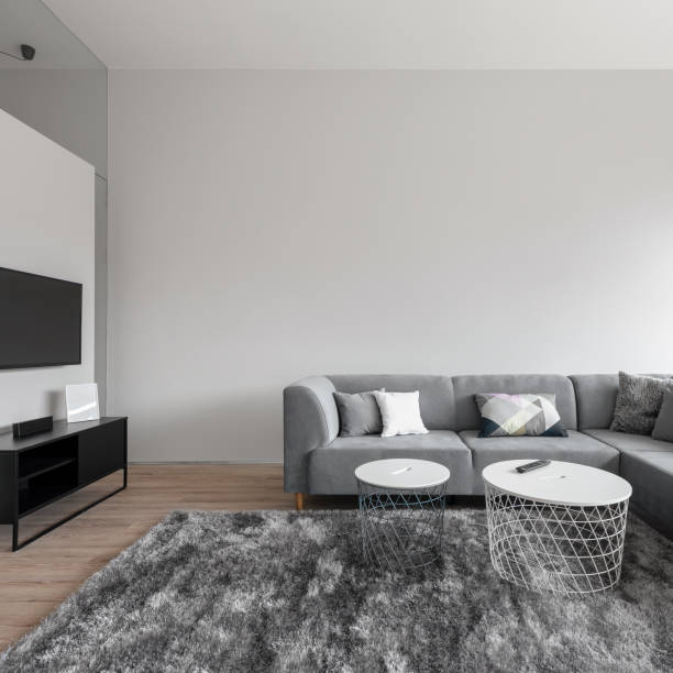 istock Living room with fluffy carpet 1312252356