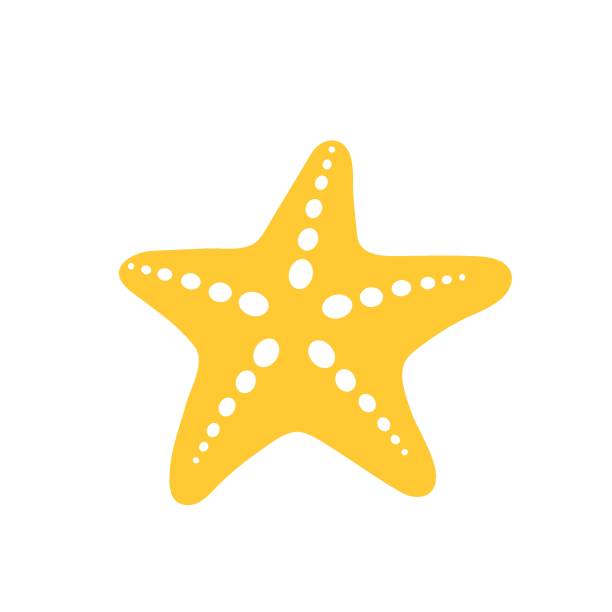 ilustraciones, imágenes clip art, dibujos animados e iconos de stock de estrellas de mar de playa para el verano deje espacio para añadir texto. aislado sobre fondo blanco. - echinoderm